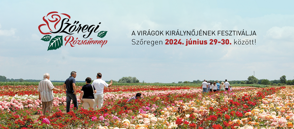 Szőregi Rózsaünnep 2024