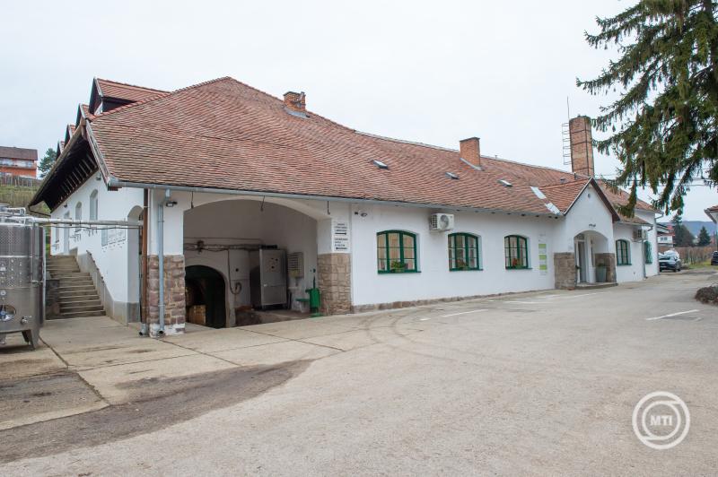 pécs pte borászati laboratórium