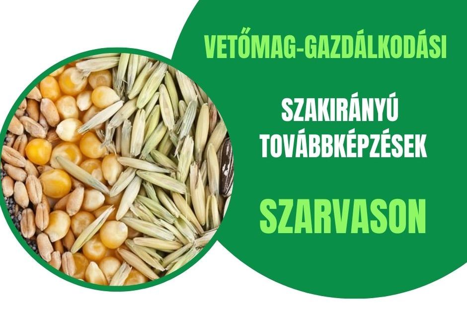 vetomag szarvas 2