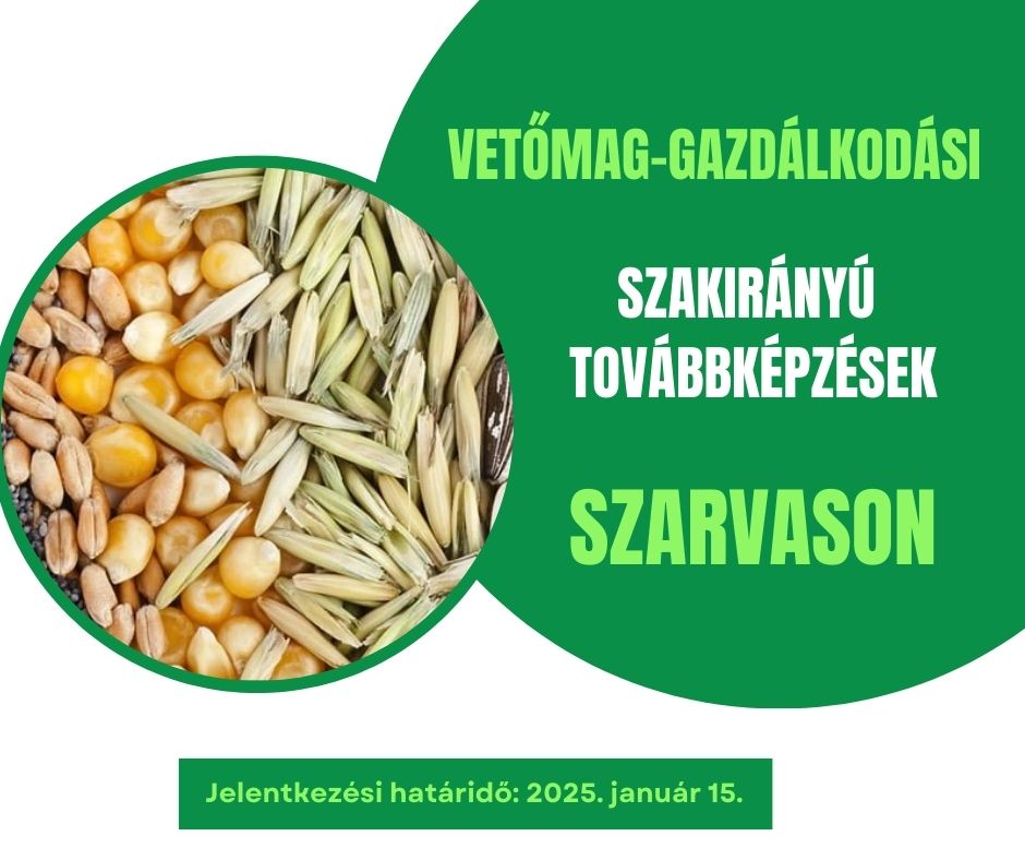 vetomag szarvas