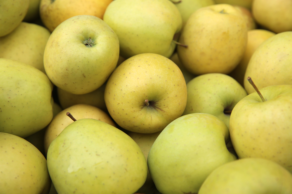 Golden Delicious alma